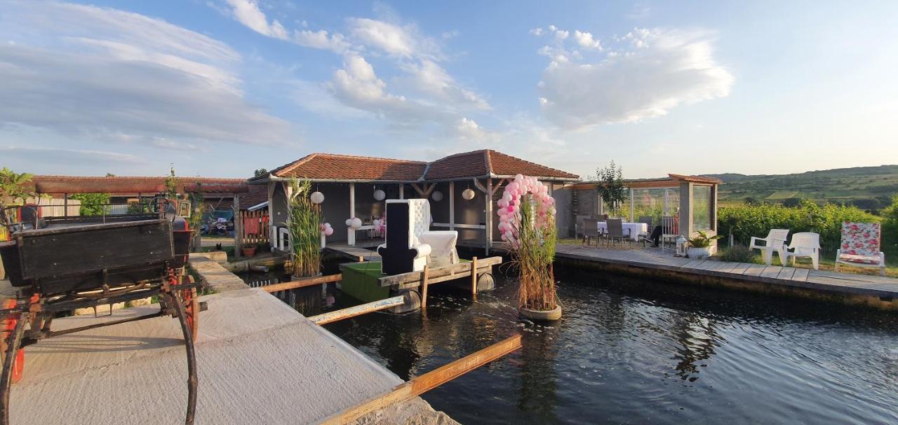 Apartmani Bojeresku Negotin Dış mekan fotoğraf