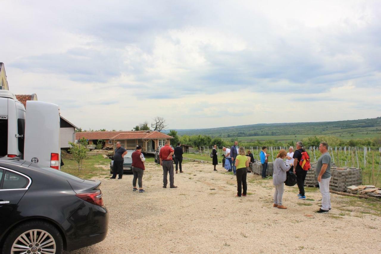 Apartmani Bojeresku Negotin Dış mekan fotoğraf