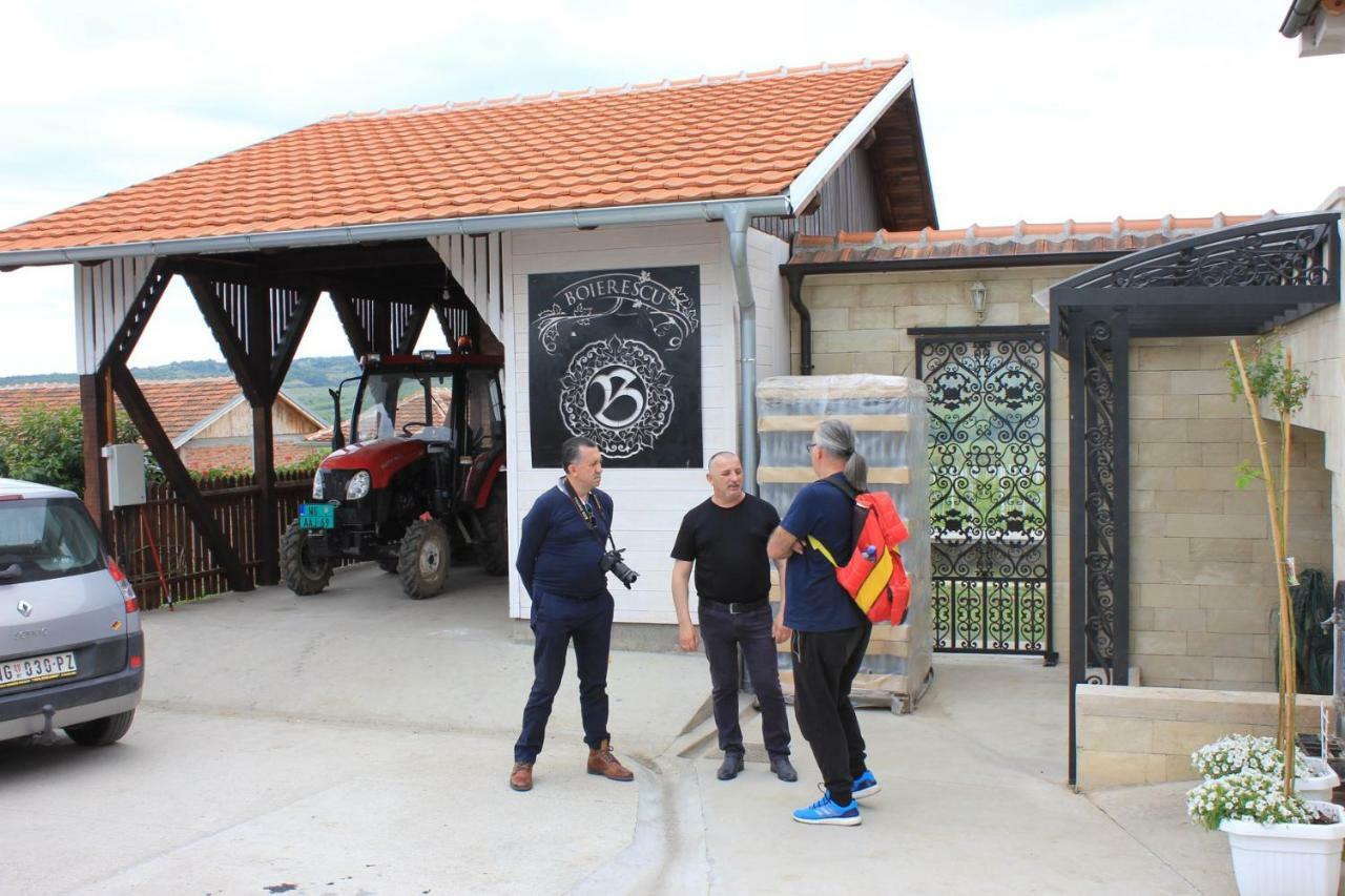 Apartmani Bojeresku Negotin Dış mekan fotoğraf